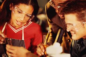 Students studying 